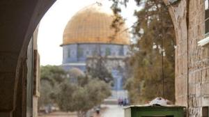 665003303001_2810533719001_201211248246311734-20